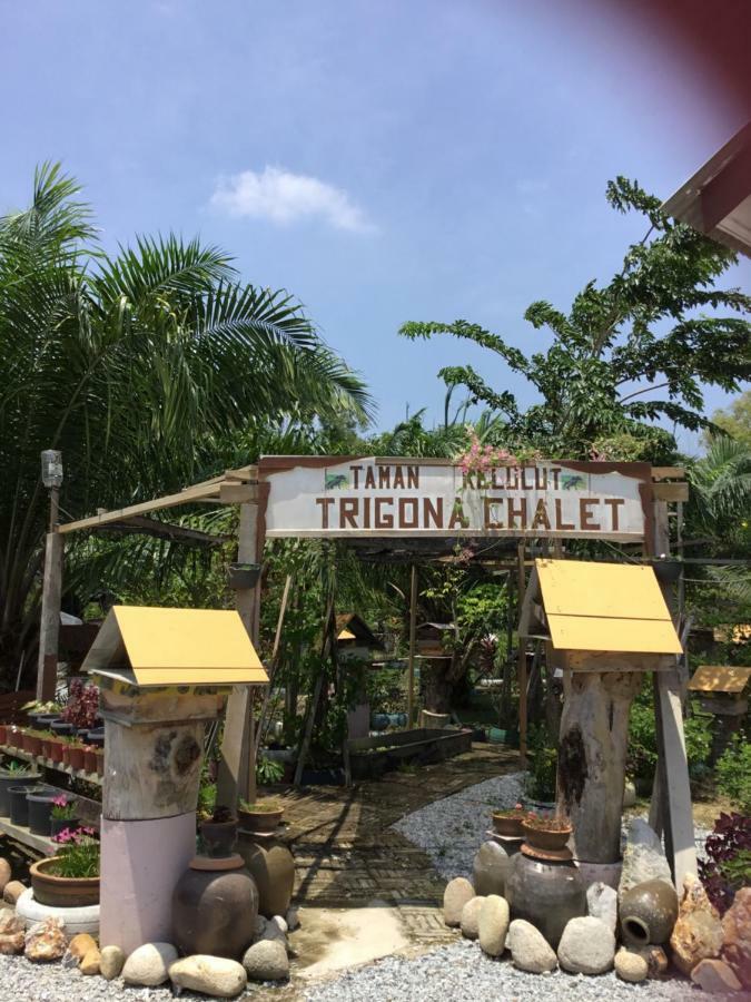 Hotel Trigona Chalet Marang Exteriér fotografie